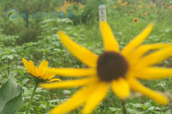 沈陽殯葬一站式服務(wù)包括哪些內(nèi)容？